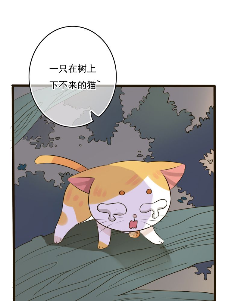 雨后的盛夏漫画,第7章：晴天的小秘密（上）1图