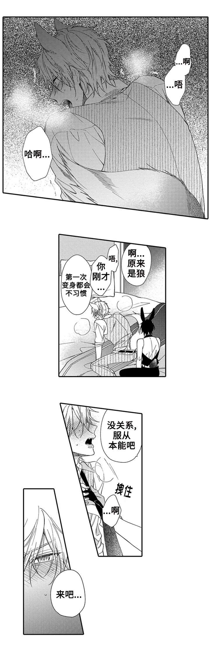 孤单的兔子漫画,第2话5图