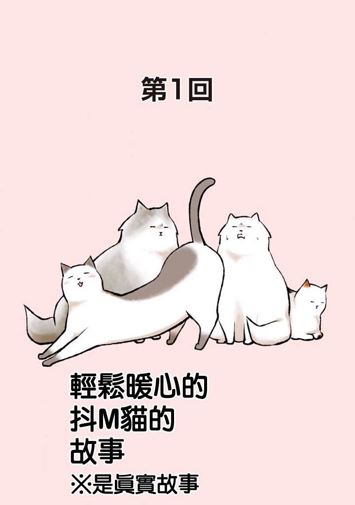 抖m猫的生活漫画,第1话4图