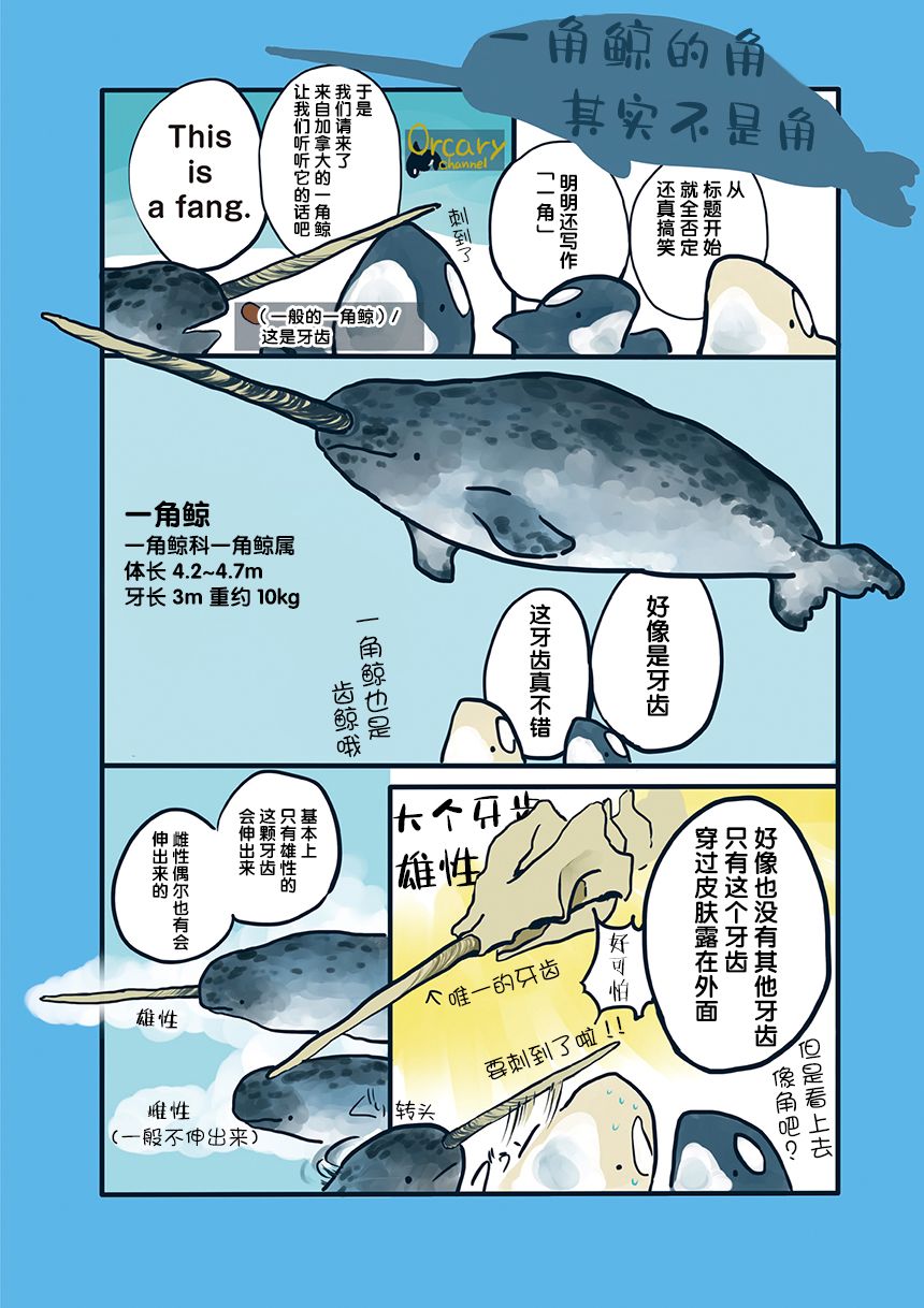 海洋动物太可爱了!漫画,第10话1图