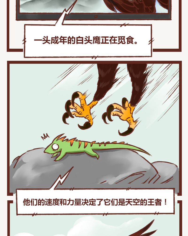 神兽退散网盘提取码免费下载漫画,第2章：1图