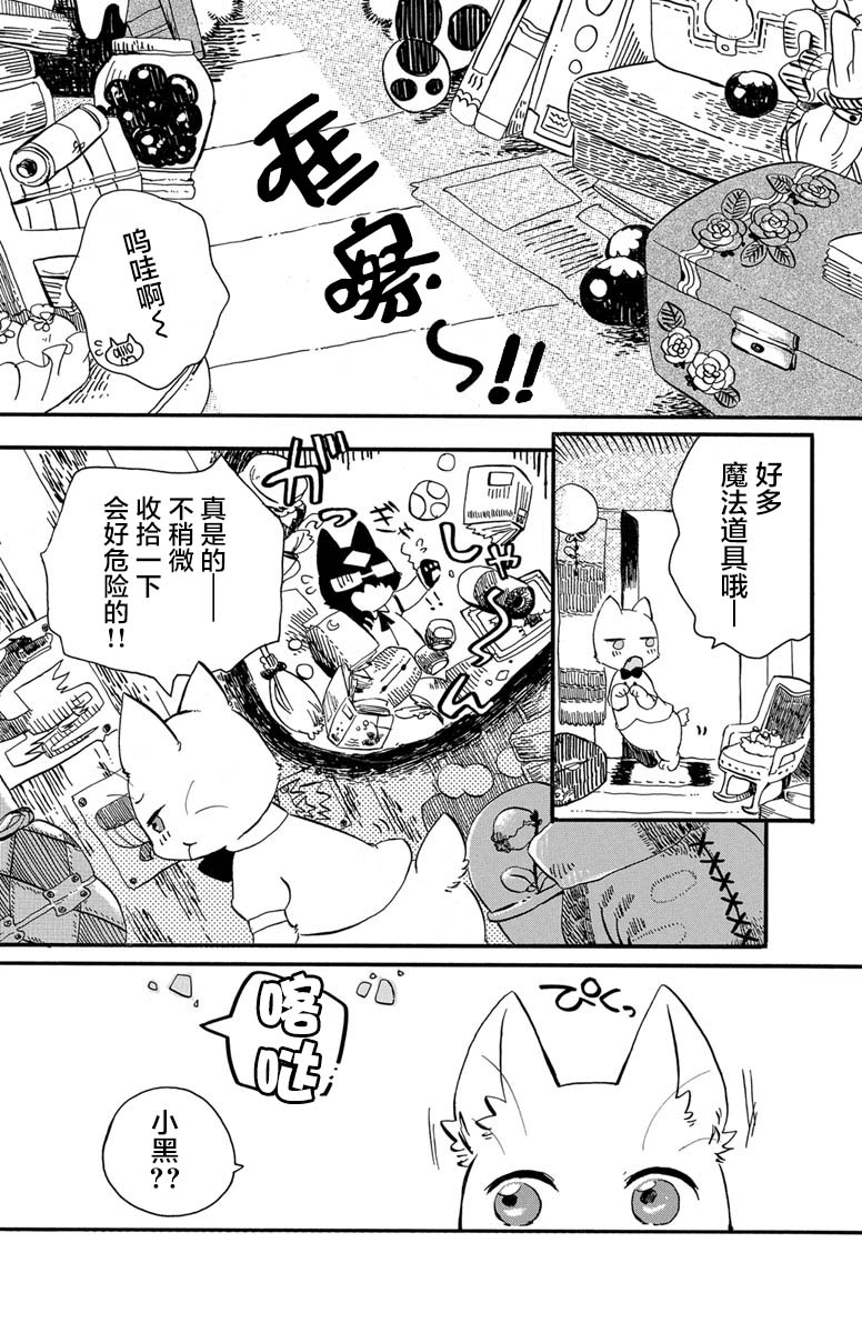 黑白猫咪幻想曲漫画,第1.3话5图