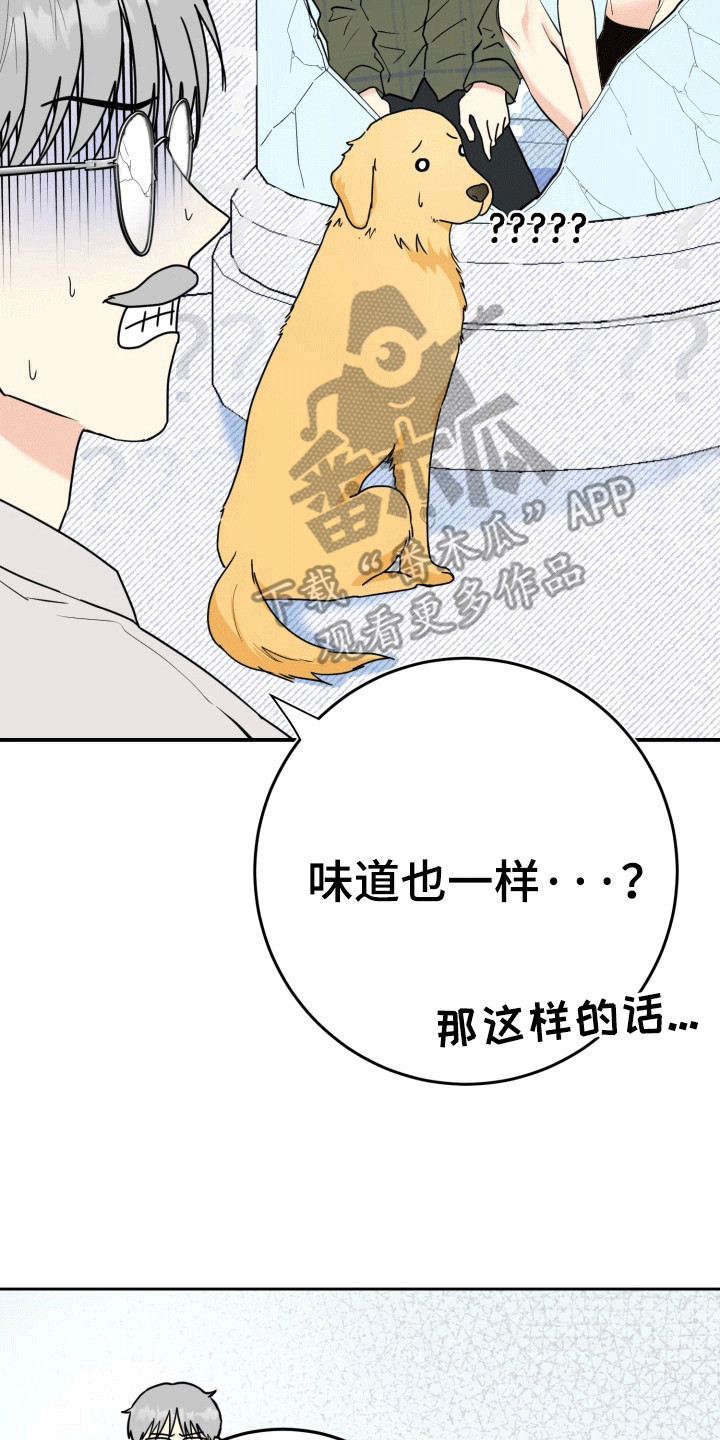 书呆子的双重生活漫画,第4话3图