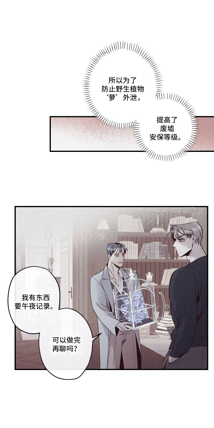 35级遗迹怎么过漫画,第3话3图