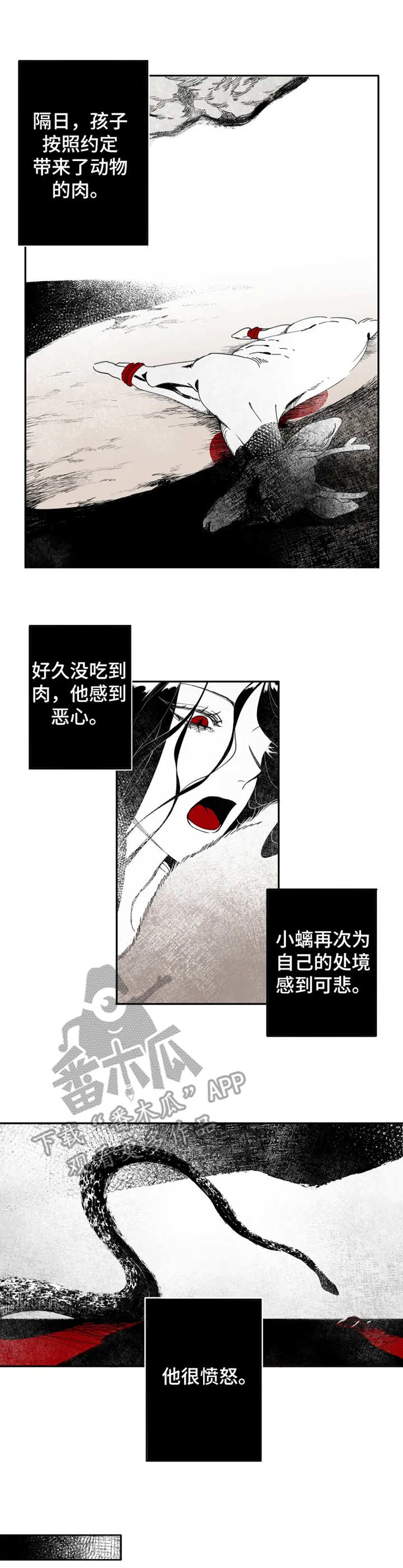 石物语大结局漫画,第3章：猎物1图