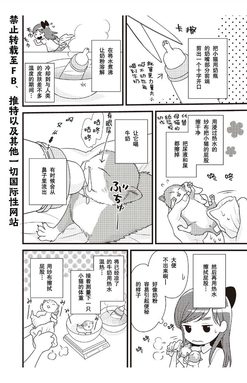 猫咪志愿部的牛奶小姐漫画,第2话2图