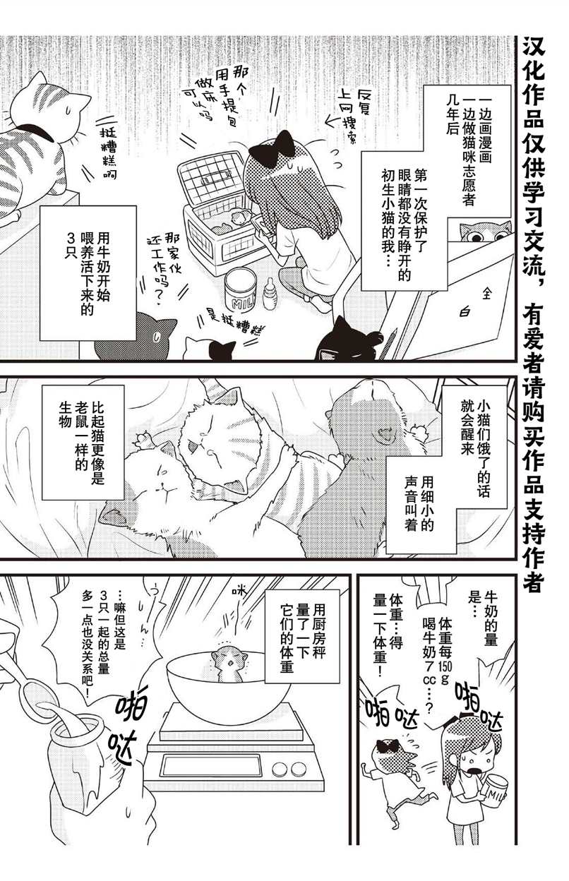 猫咪志愿部的牛奶小姐漫画,第2话1图