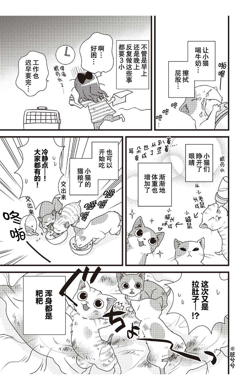 猫咪志愿部的牛奶小姐漫画,第2话3图