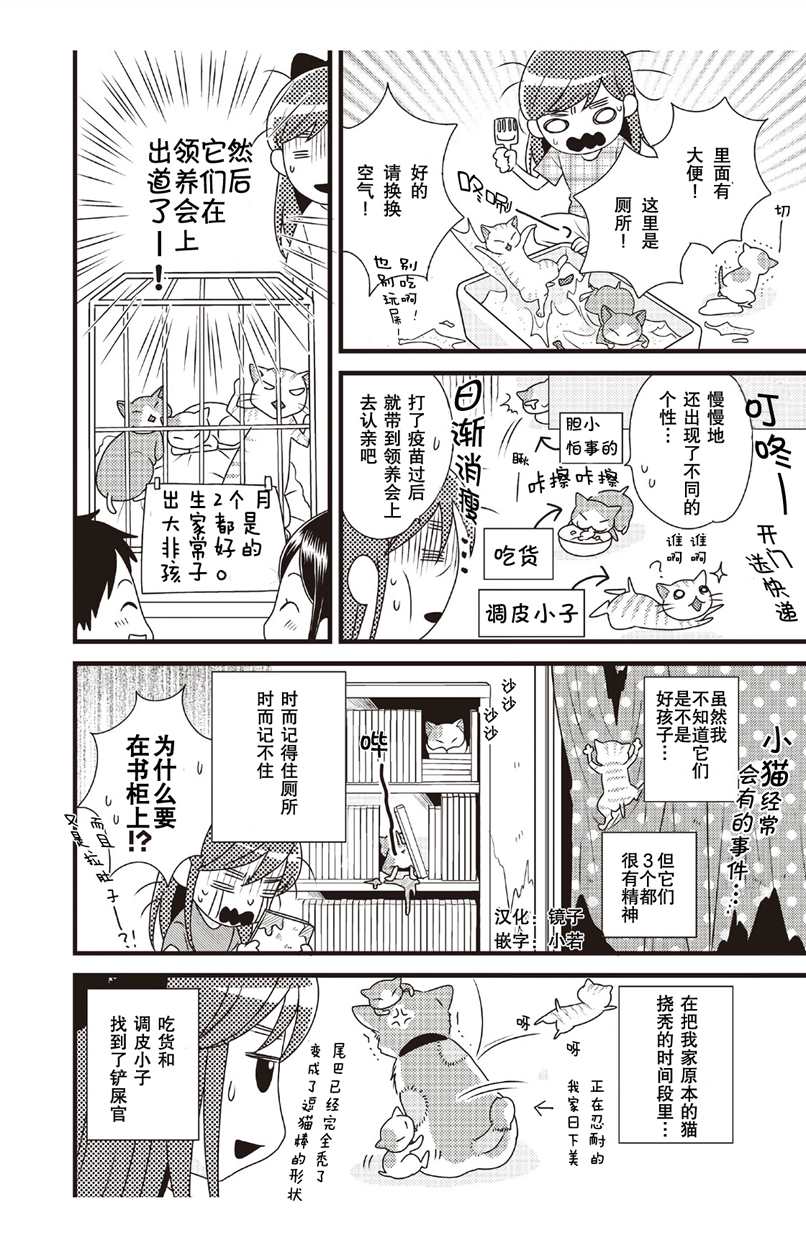 猫咪志愿部的牛奶小姐漫画,第2话4图