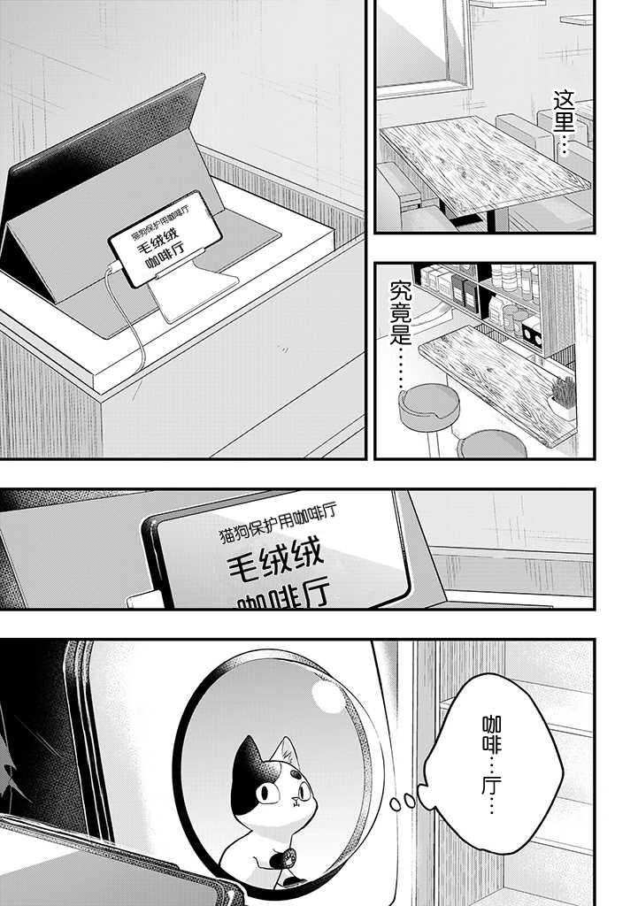 被遗弃的小猫咪与原黑道漫画,第8话3图