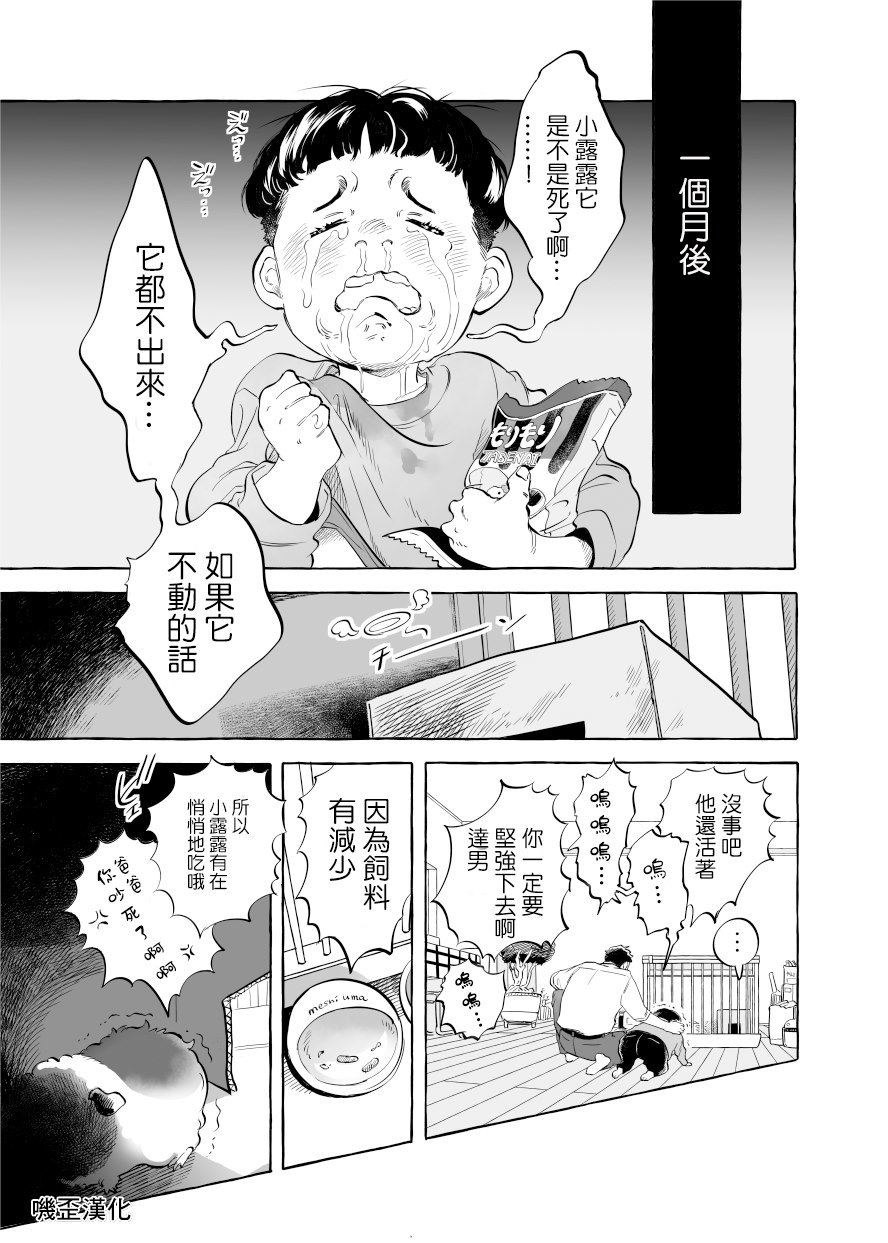 Guinea Pig Room Tour漫画,第1话1图