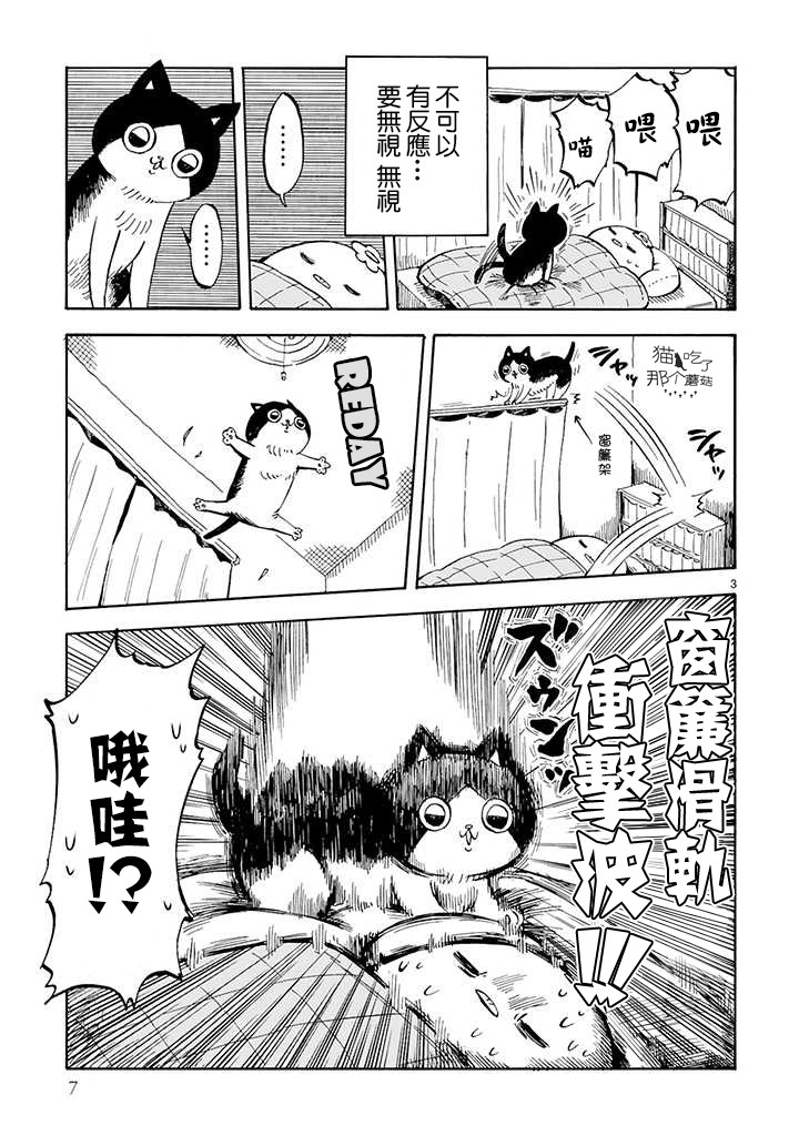 全世猫漫画,第0话4图