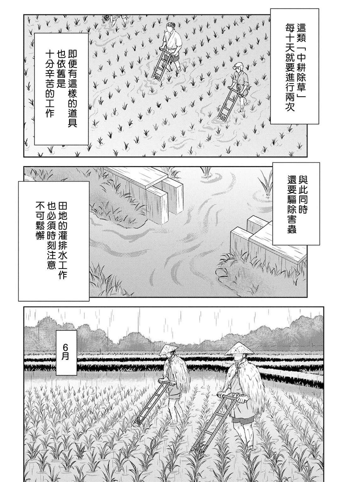 战国小町苦劳谭-农耕戏画漫画,第6话5图