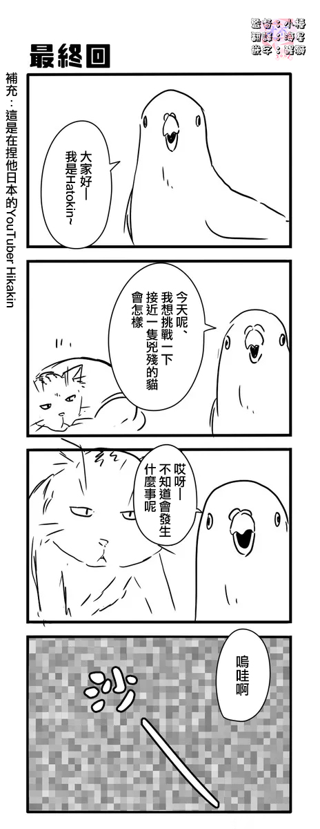 鸽子漫画,鸽子1图