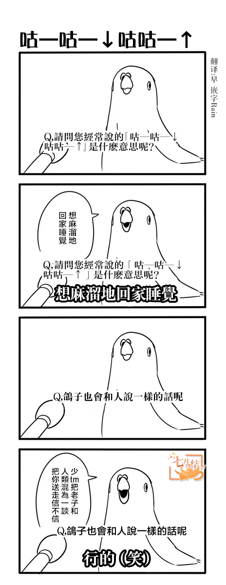 鸽子漫画,鸽子2图