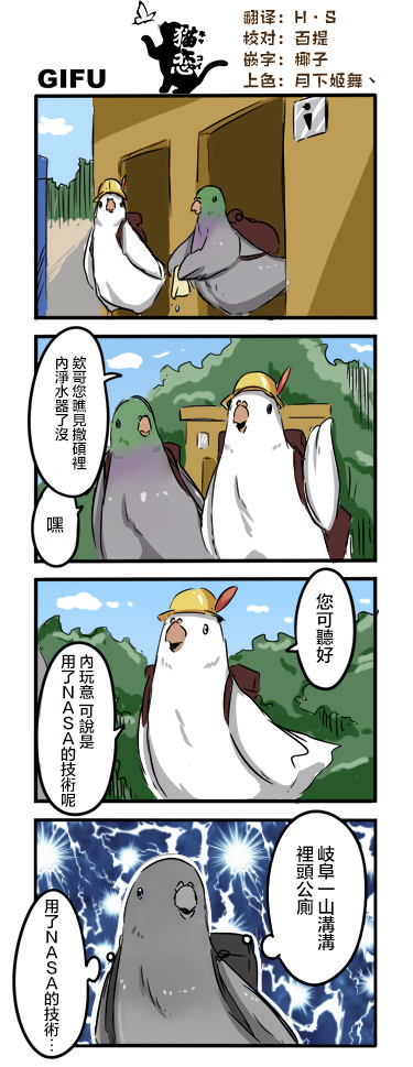 鸽子3