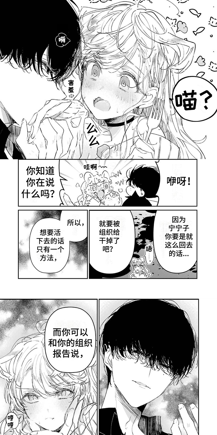 灰姑娘的专属刺客车漫画,第2话1图