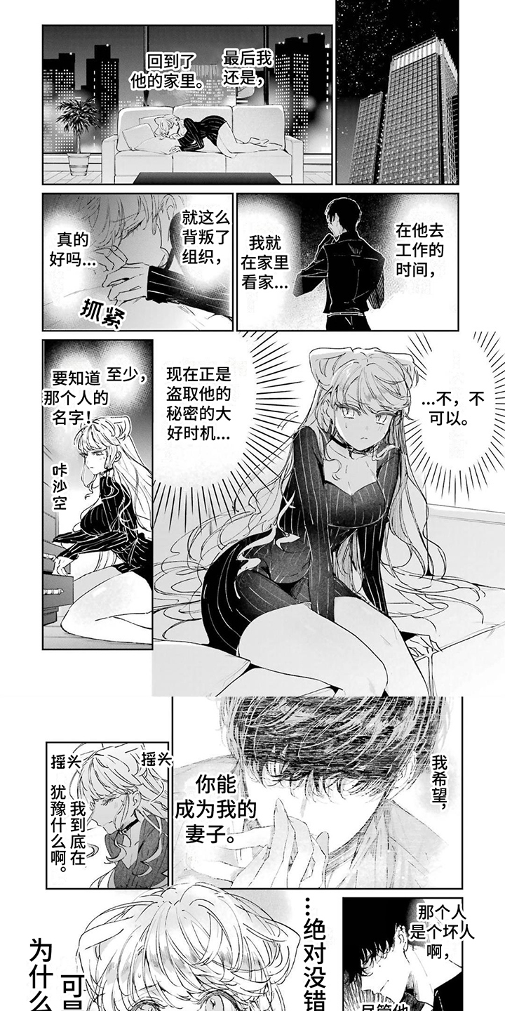 灰姑娘的专属刺客漫画高能漫画,第3话1图