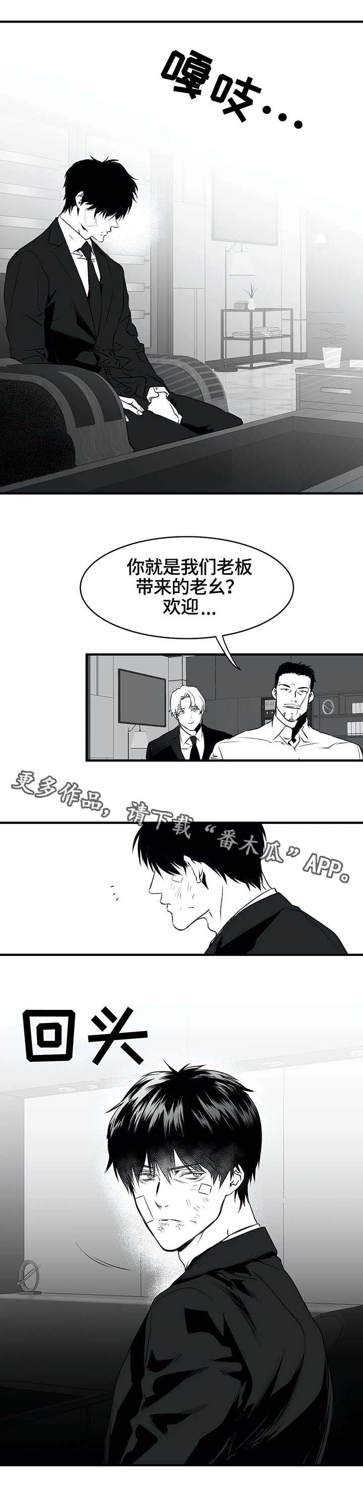 拳击手套哪个品牌好漫画,第10话1图