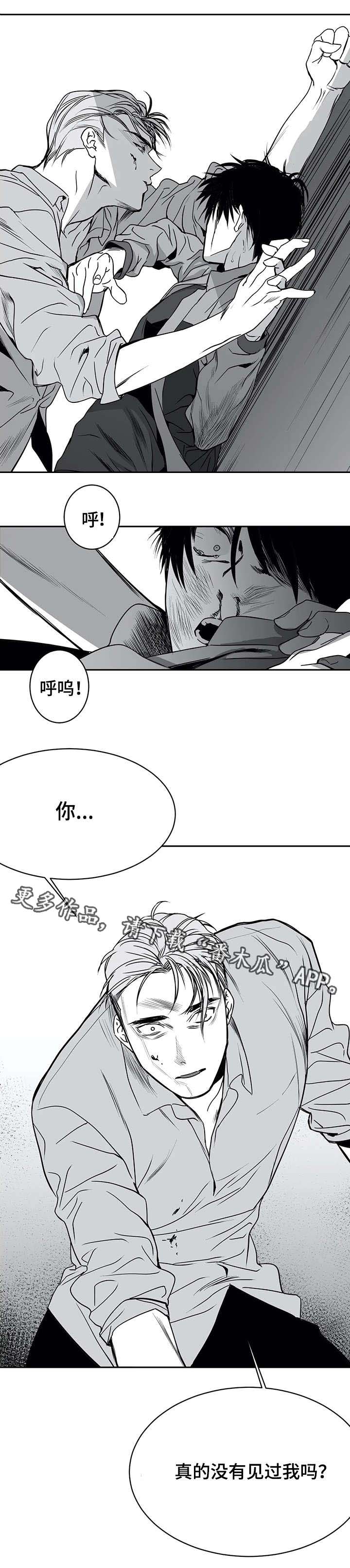 拳击手套多少钱一双漫画,第7话1图