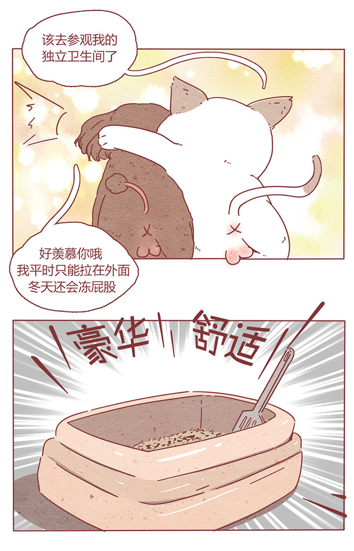 晴天钢琴谱完整版免费漫画,第2章：5图