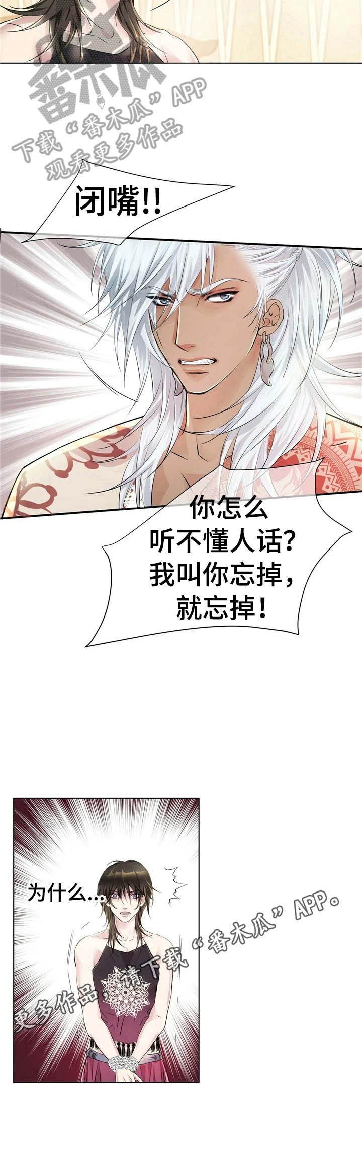 狼王子漫画,第7章：忘掉2图