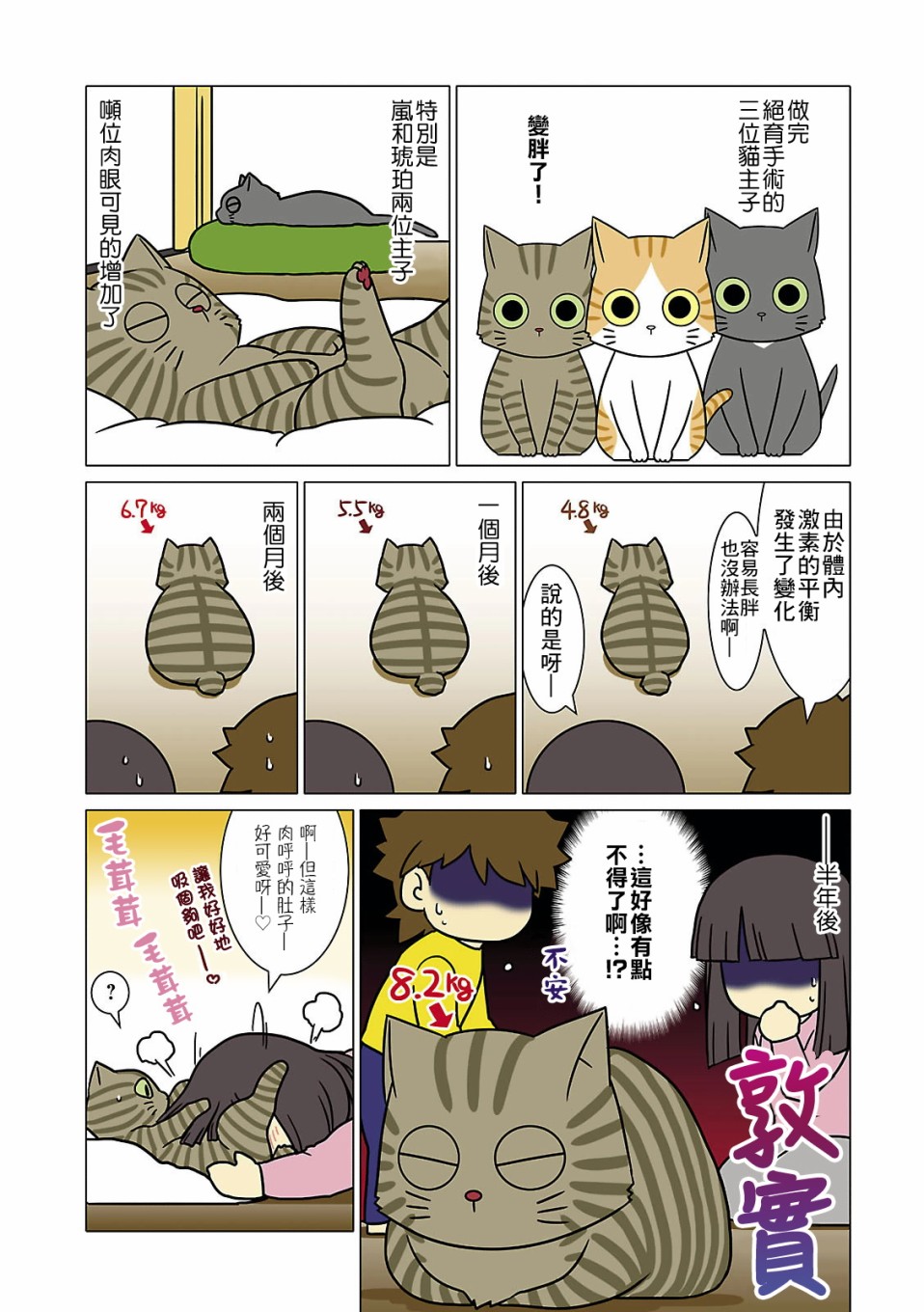 猫和我的日常漫画,第6话2图