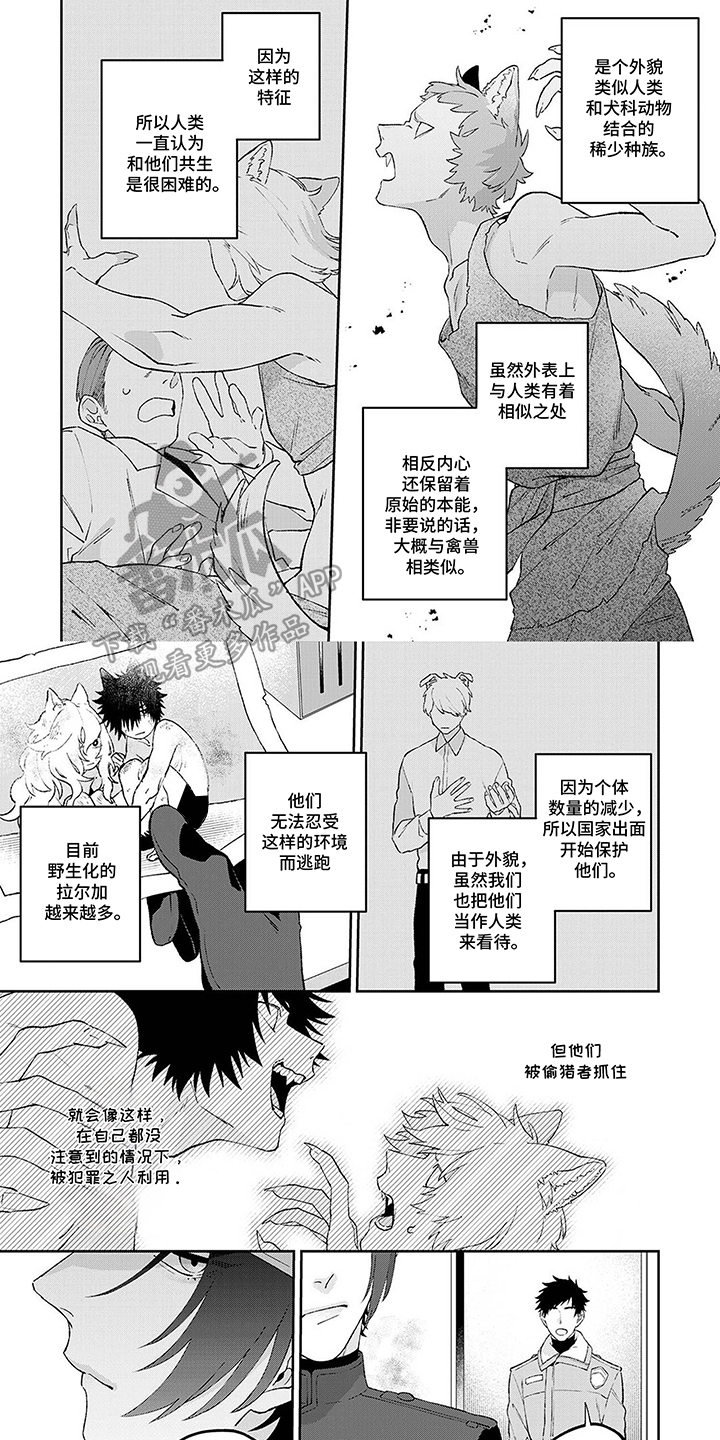 双全日是指什么漫画,第1话2图