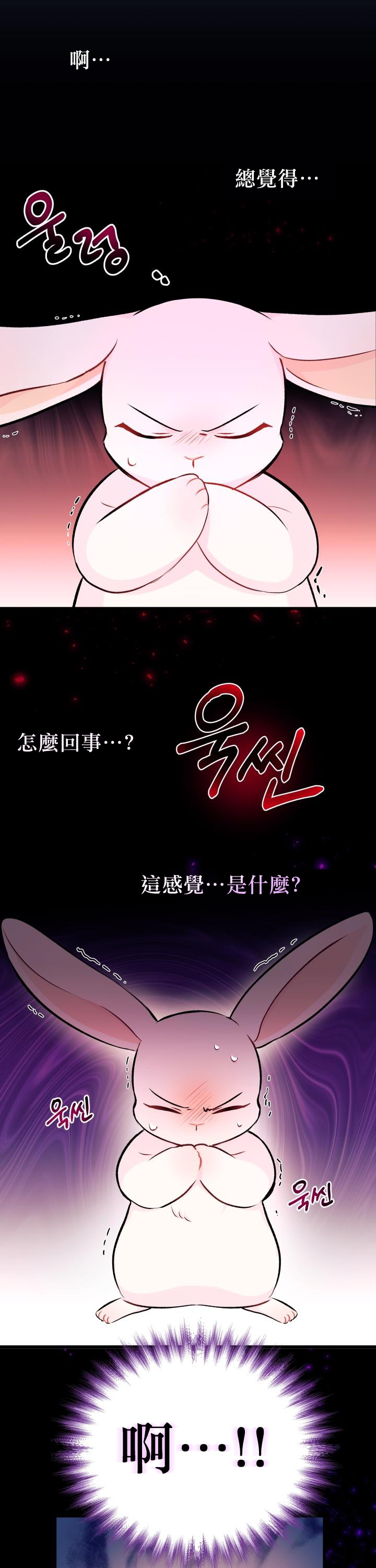 兔子与黑豹的共生关系漫画,第6话3图