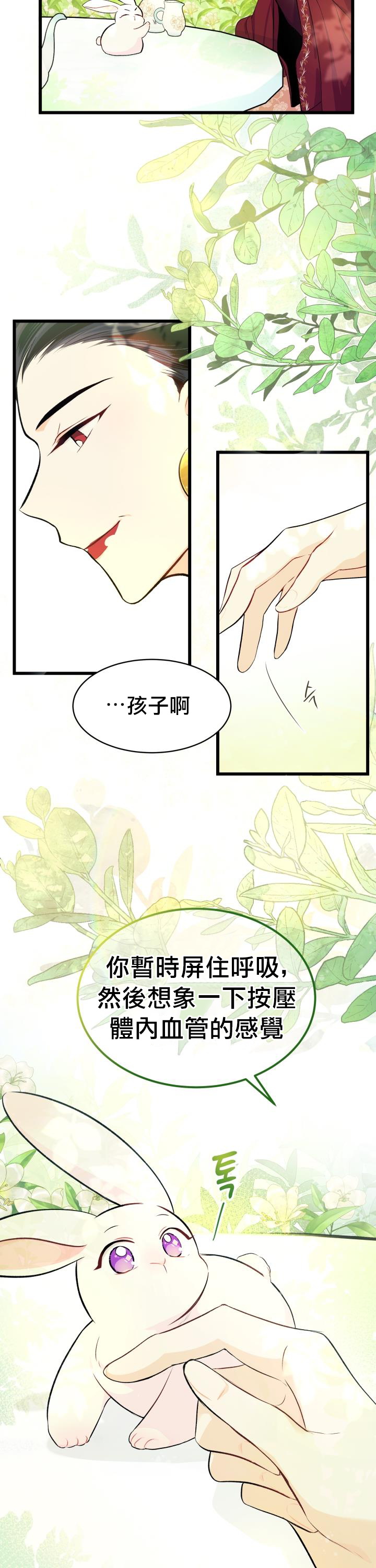 兔子与黑豹的共生关系漫画,第6话1图