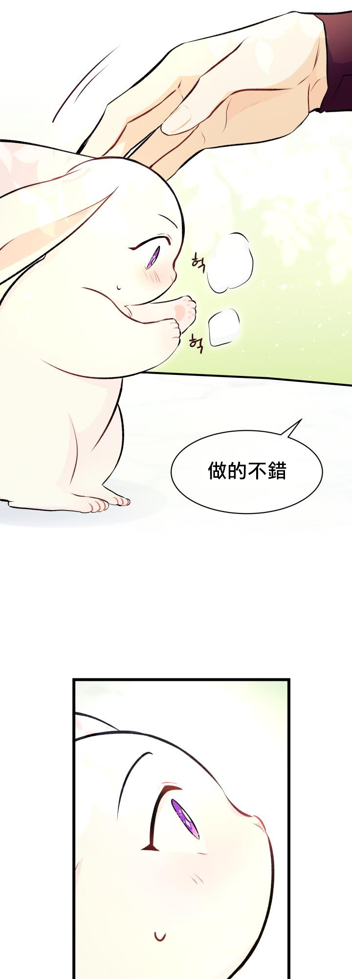 兔子与黑豹的共生关系漫画,第6话5图