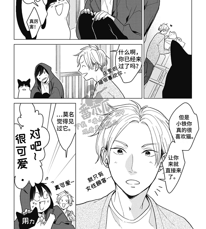 猫猫想要被抚摸漫画,第4话3图