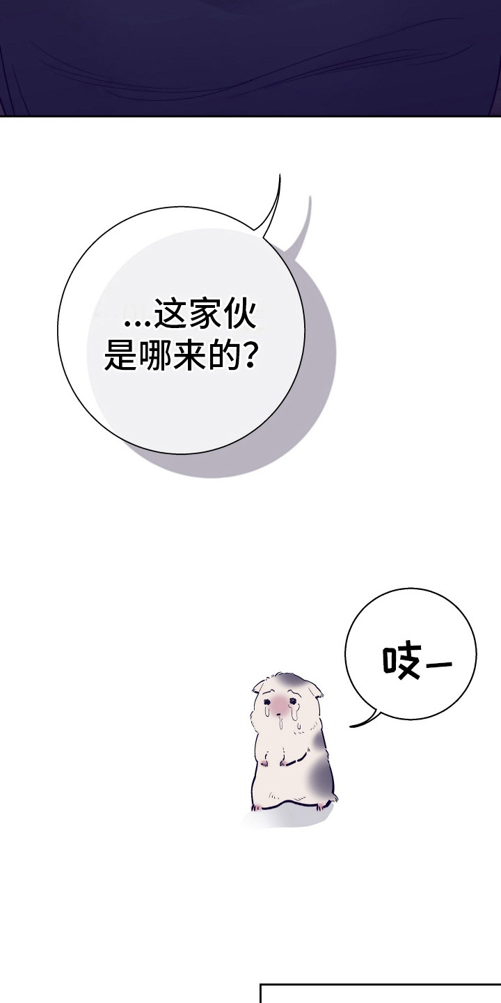 五开门与小老鼠漫画,第8话2图