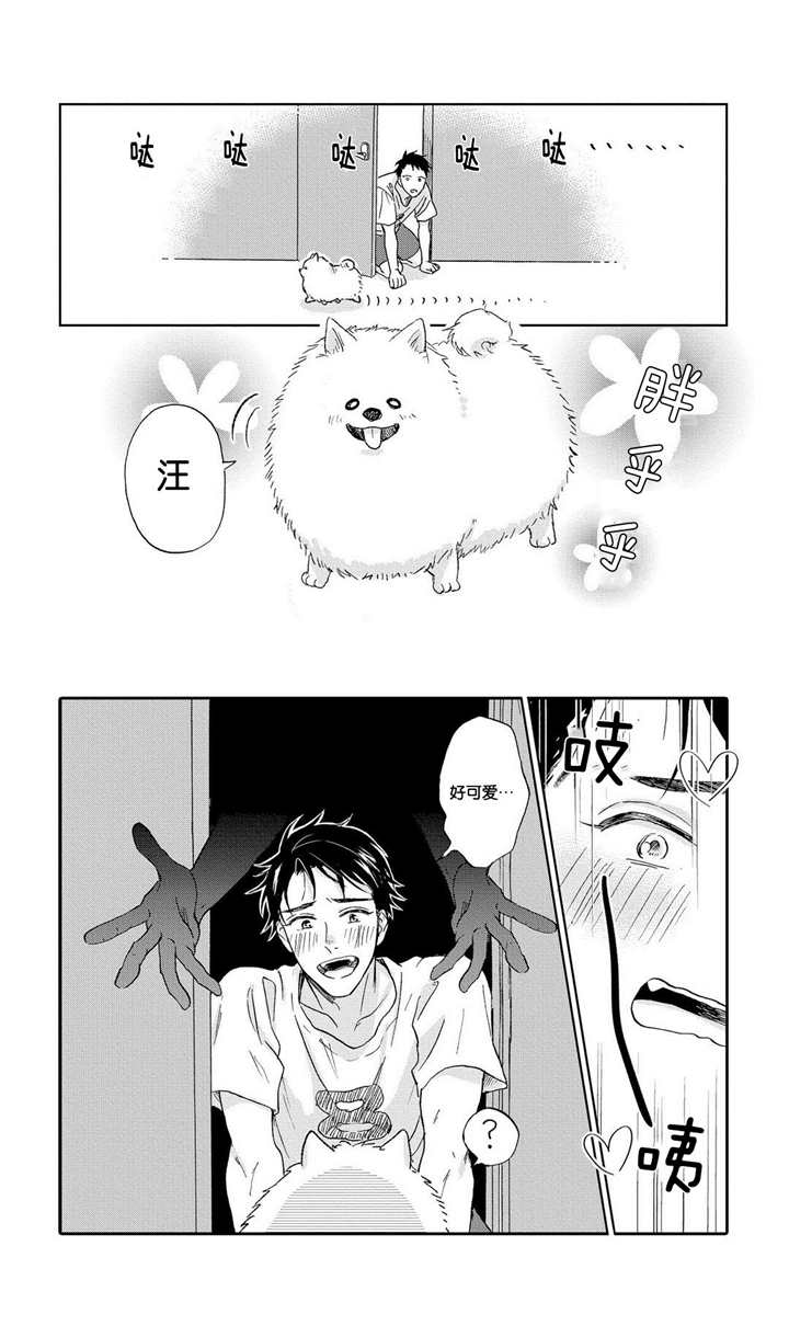 家有小短腿漫画,第3话3图