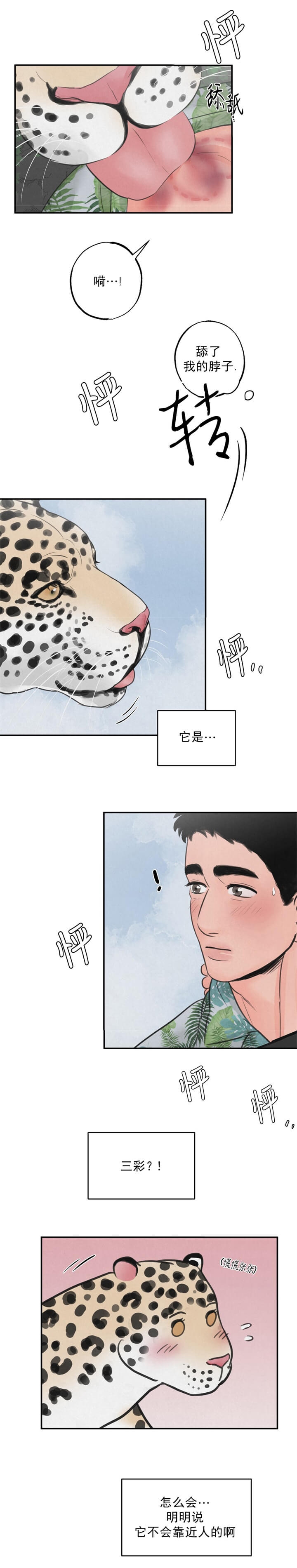 丛林游戏电影巨石强森漫画,第12话4图