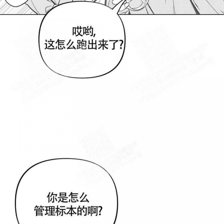 本能效应漫画,第4话5图