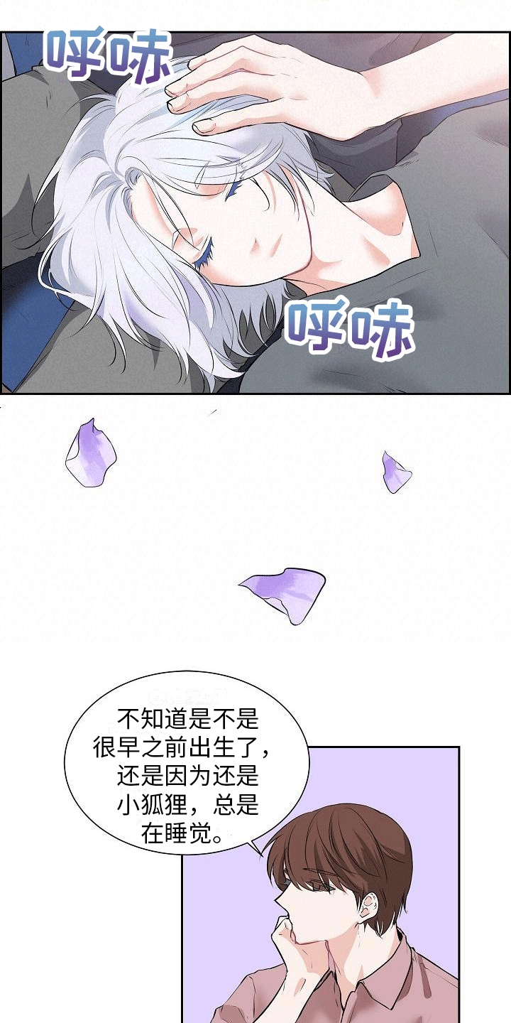 星星坠落是什么意思漫画,第3话4图