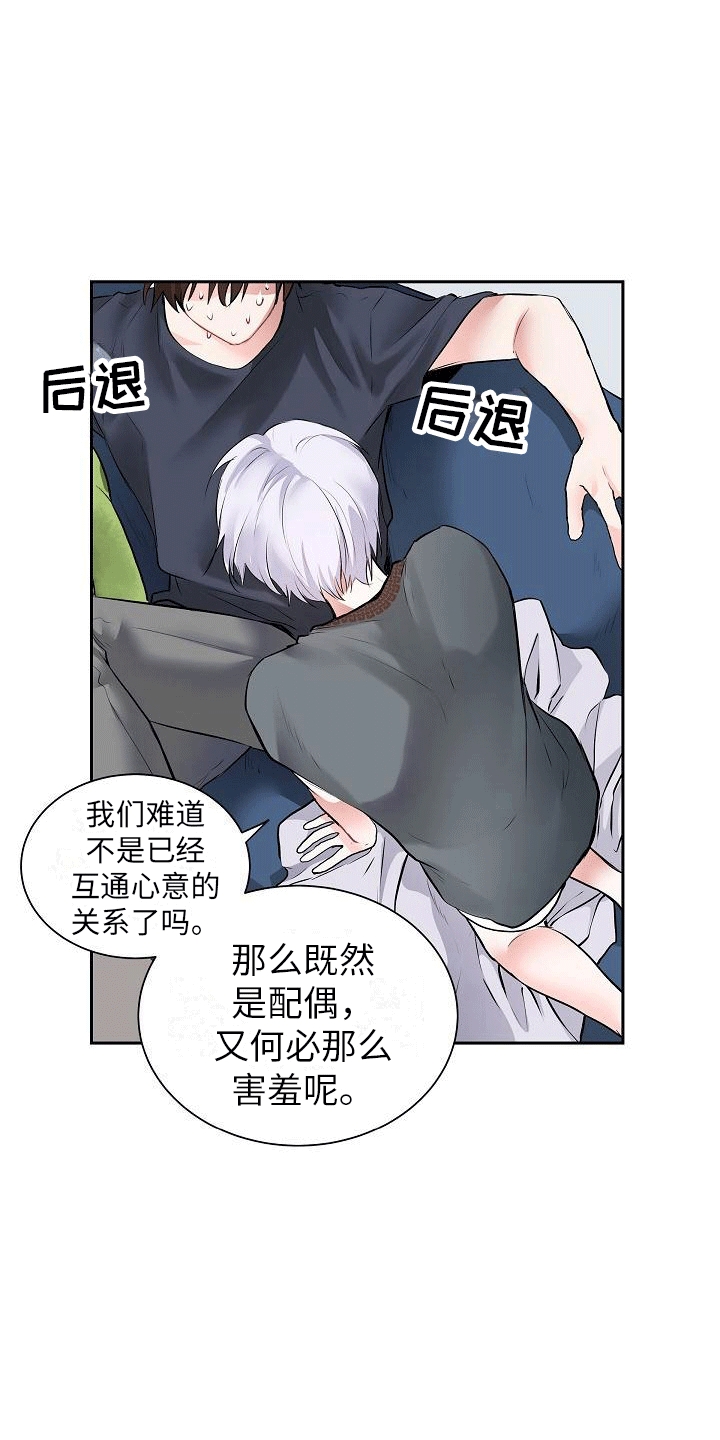 等星星坠落小说免费阅读无弹窗漫画,第4话2图