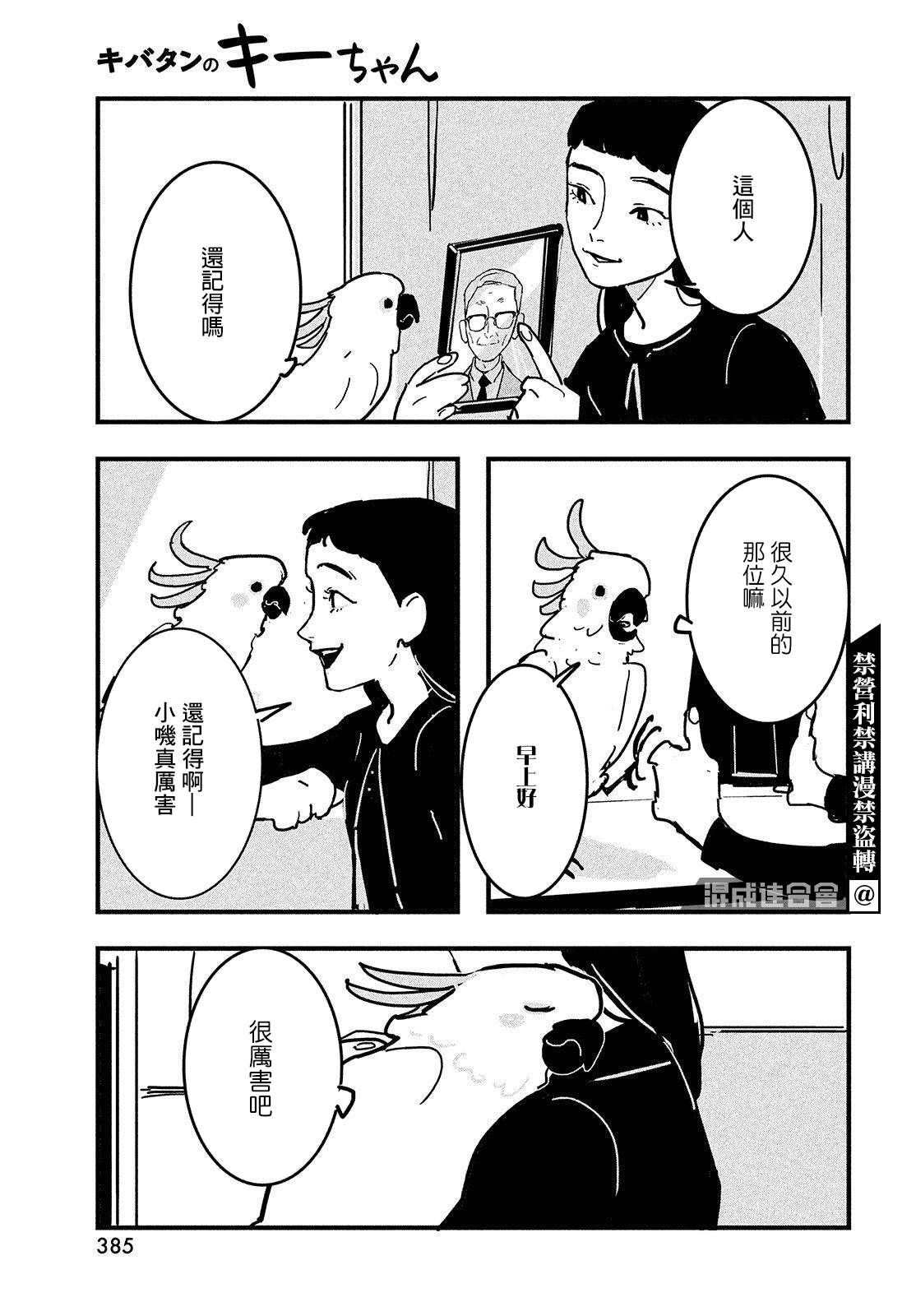 葵花鹦鹉小叽漫画,短篇3图