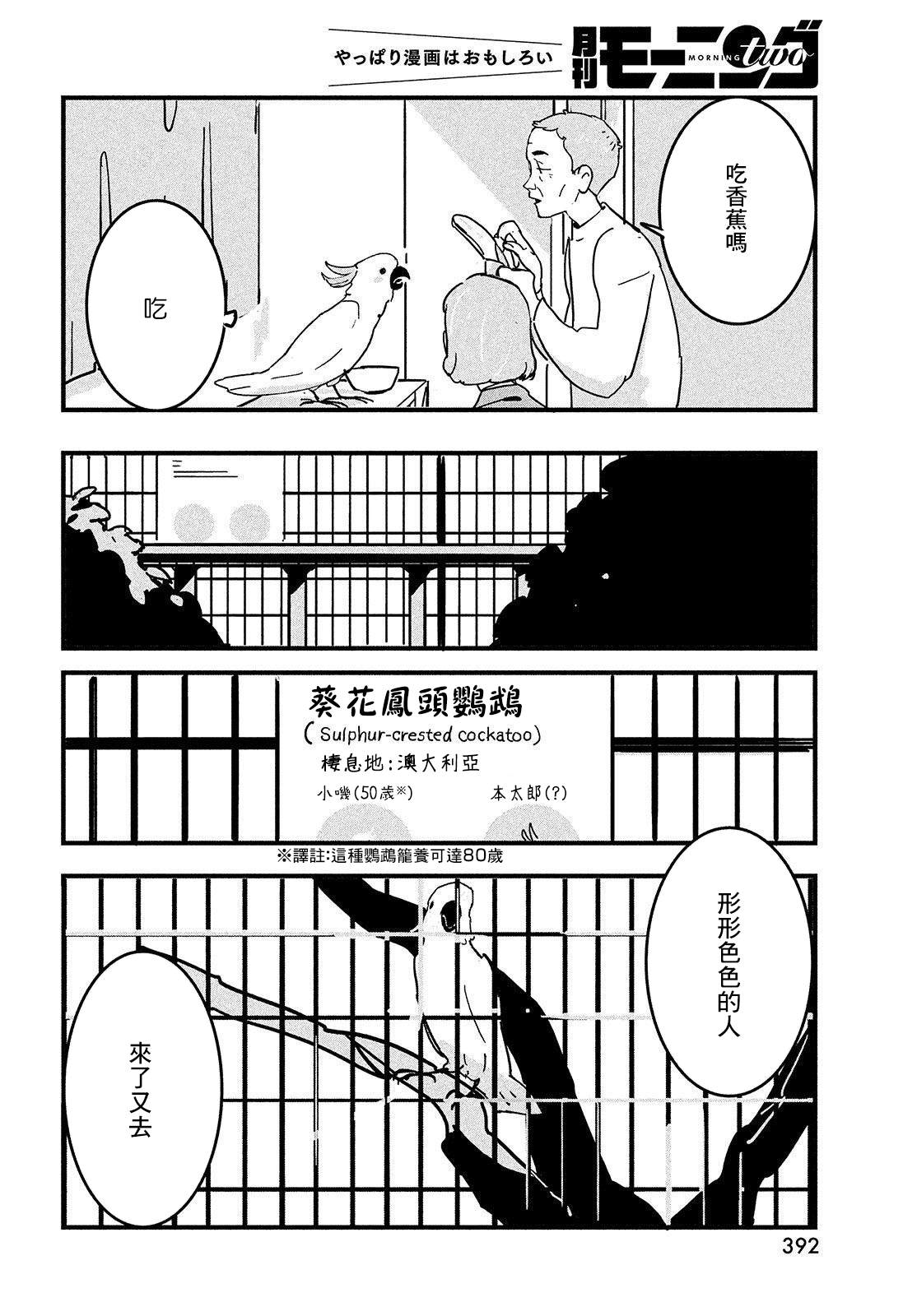 葵花鹦鹉小叽漫画,短篇5图