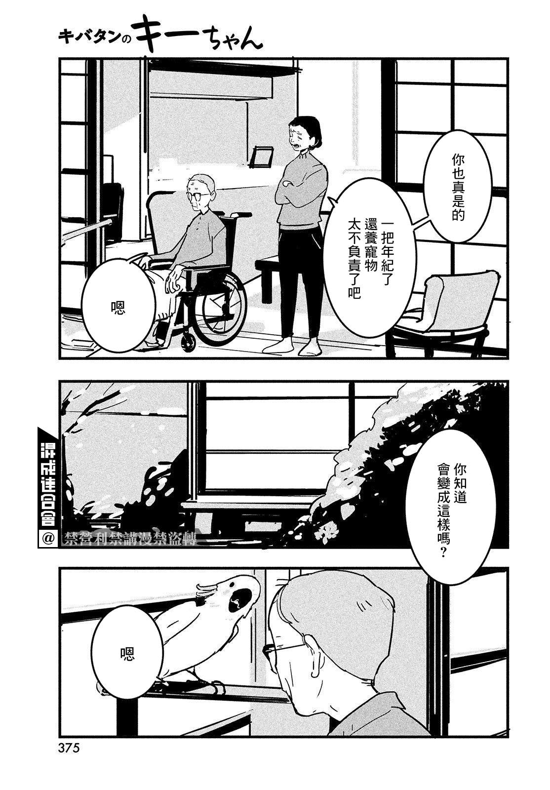 葵花鹦鹉小叽漫画,短篇3图