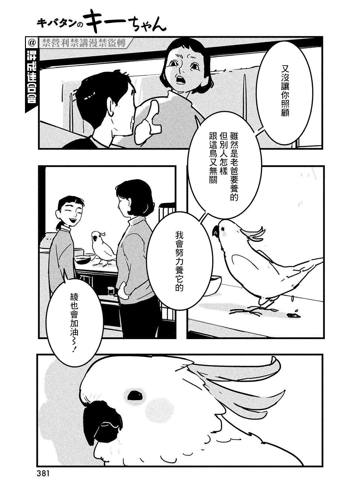 葵花鹦鹉小叽漫画,短篇4图