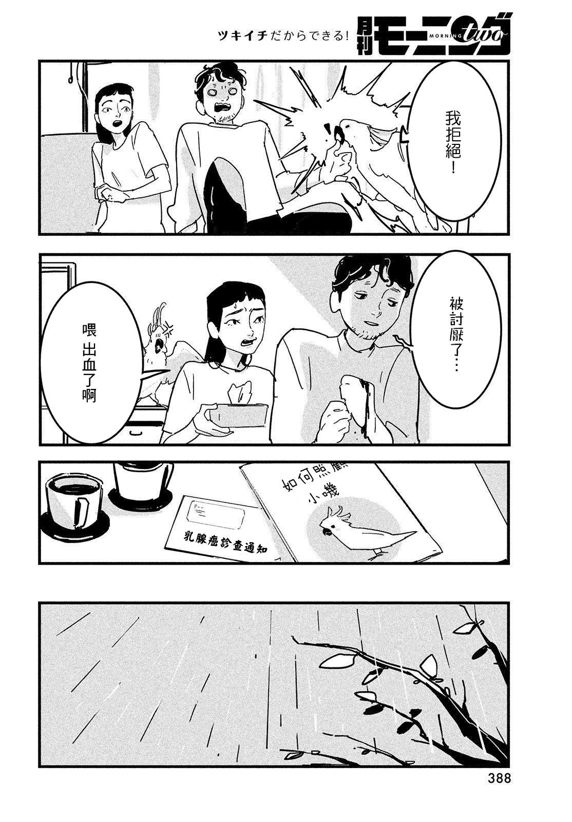 葵花鹦鹉小叽漫画,短篇1图