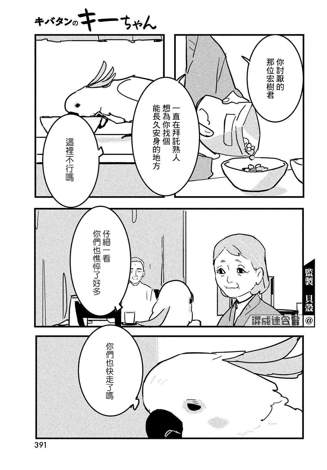 葵花鹦鹉小叽漫画,短篇4图