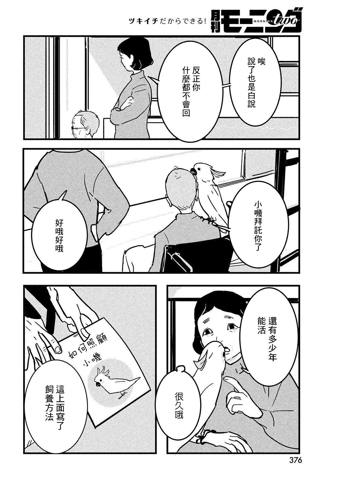 葵花鹦鹉小叽漫画,短篇4图