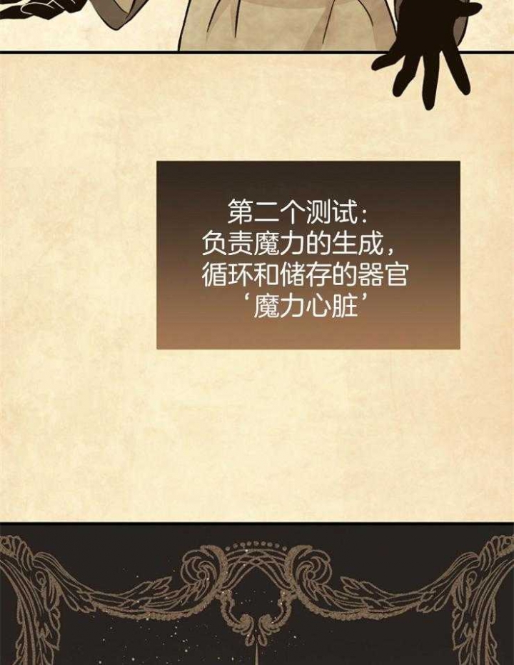 满级法师重回新手村漫画,第4话5图