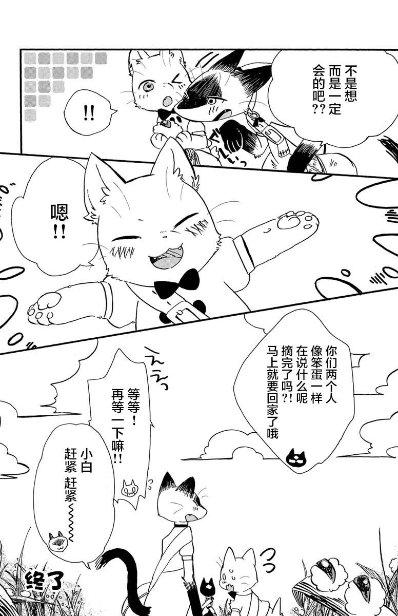 黑白猫咪幻想曲漫画,第1话2图