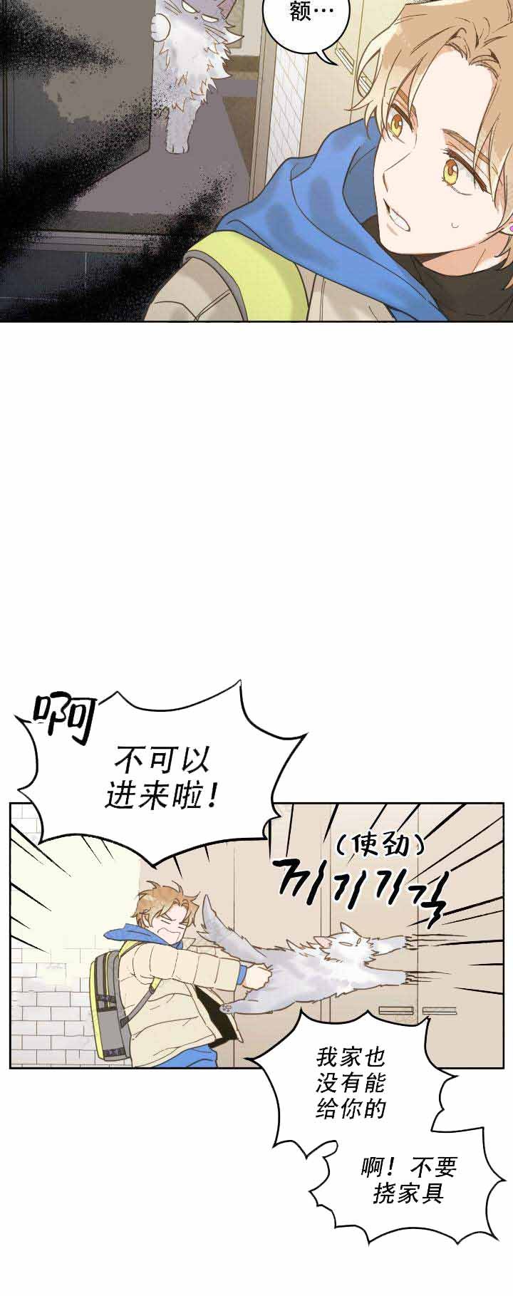 我唯一的猫猫英文漫画,第3话4图