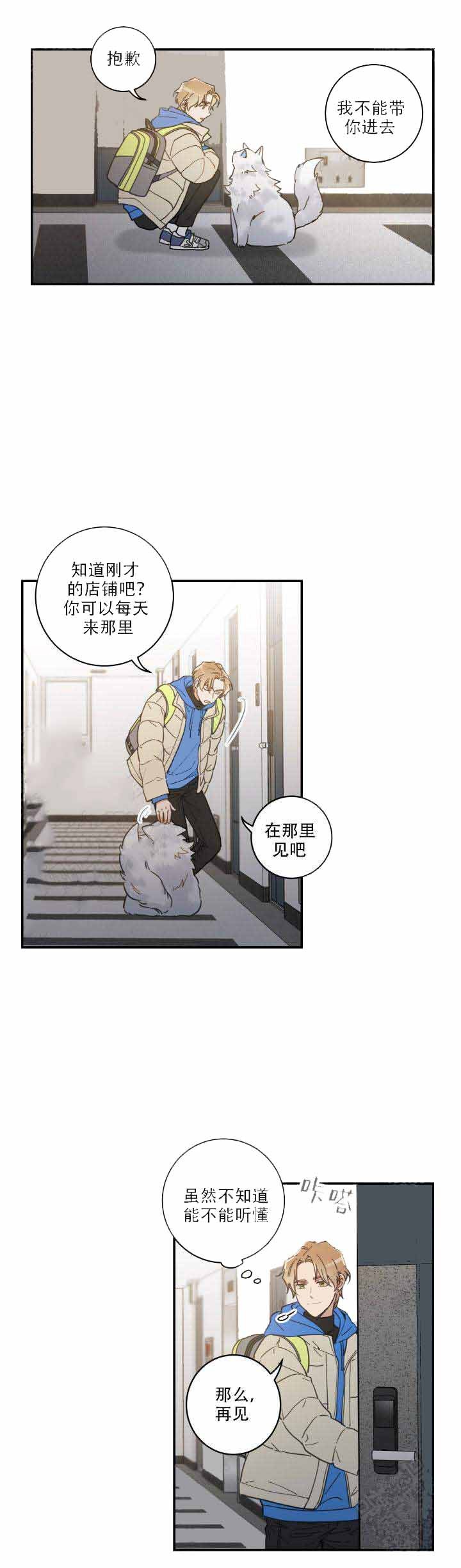 我唯一的猫猫英文漫画,第3话2图