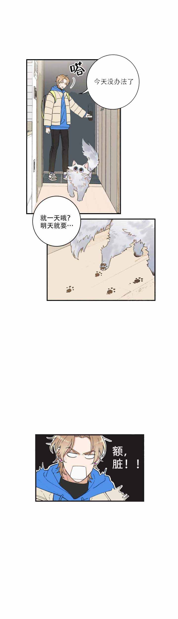 独一无二的猫猫漫画,第3话2图